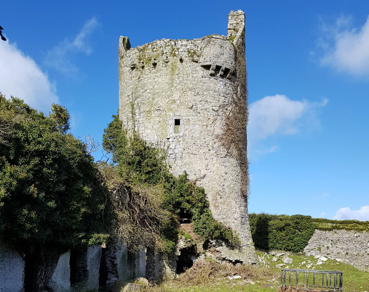 Moorstown Castle, Ireland